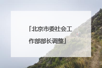 北京市委社会工作部部长调整